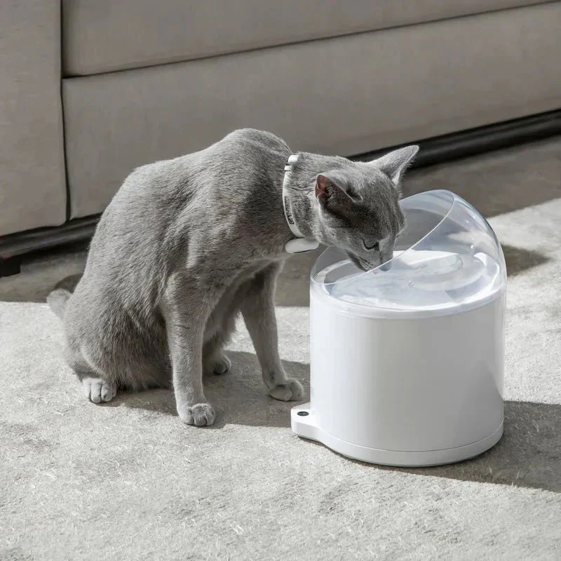 CATLINK W02 Al Water Fountain- Pure 2 - Image 22