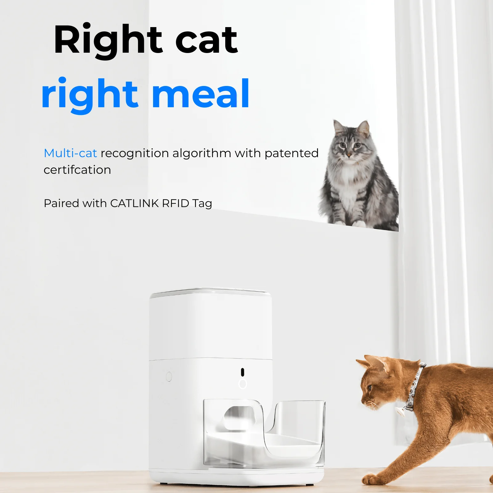CATLINK Automatic Feeder- F04 FRESH 2 Luxury - Image 7
