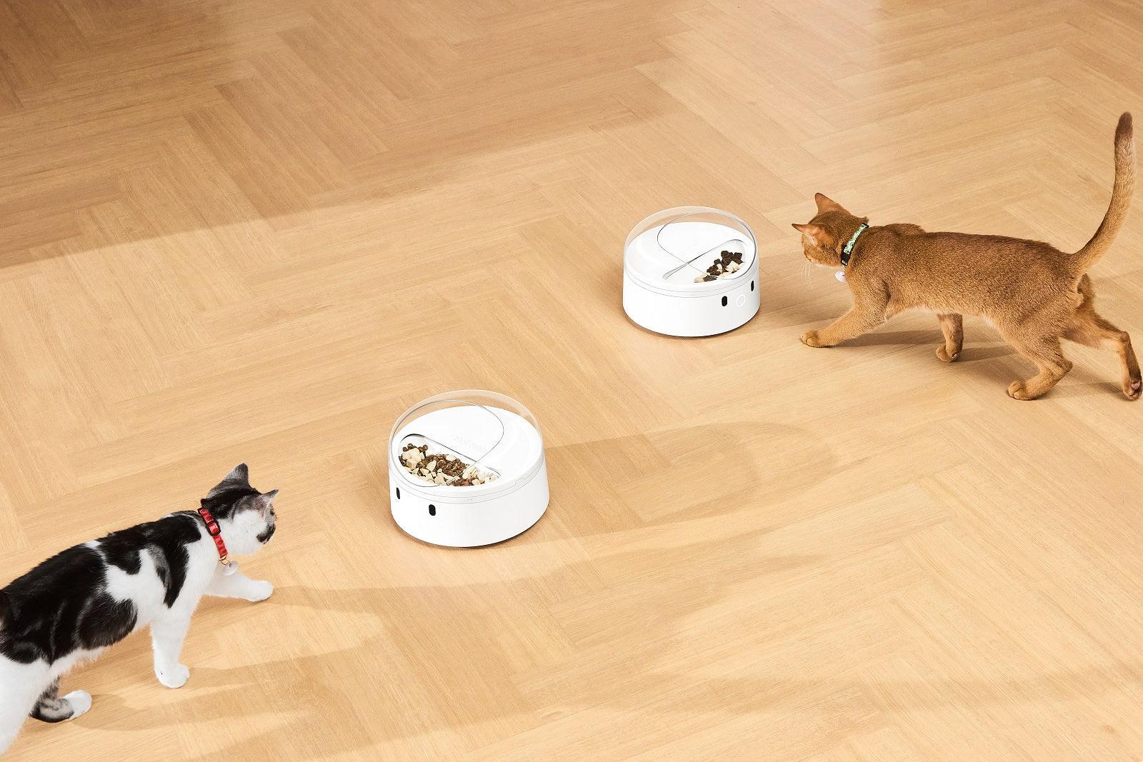 CATLINK RFID F03 Standard Pet Feeder - Image 22